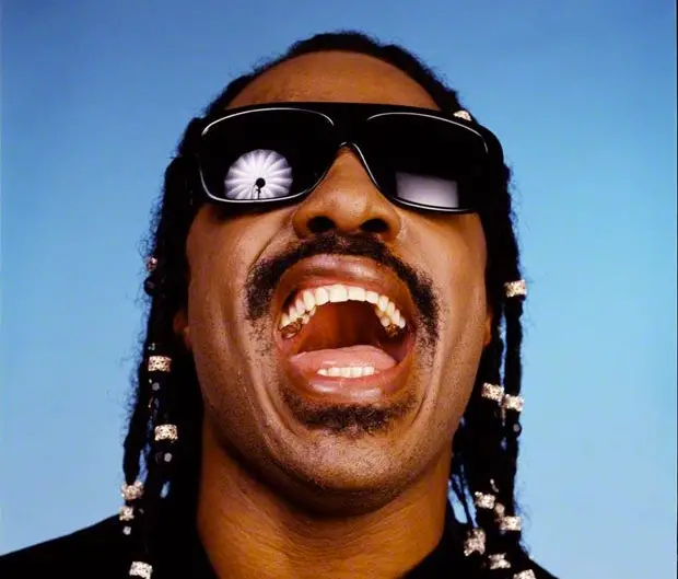 Image result for stevie wonder