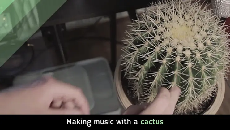 cactus music houston in store performance