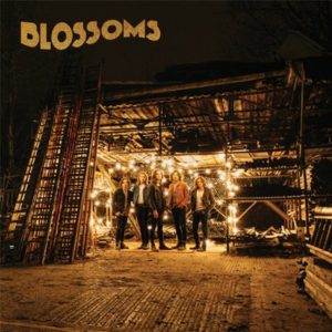 Blossoms