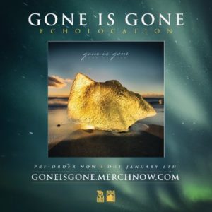 gone-is-gone