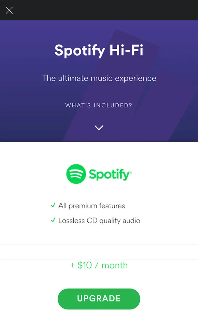 spotify lossless audio