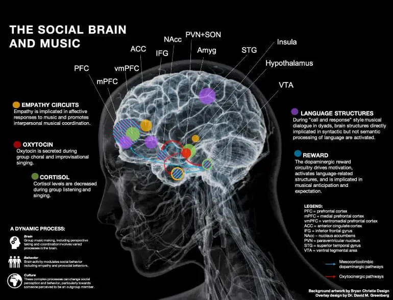 New Study: What Happens To Your Brain When You Make Music With Other ...