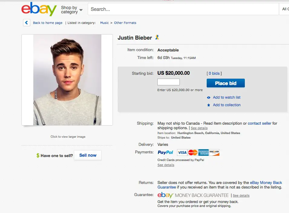 Bieber on eBay copy