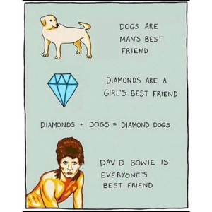 Bowie Logic