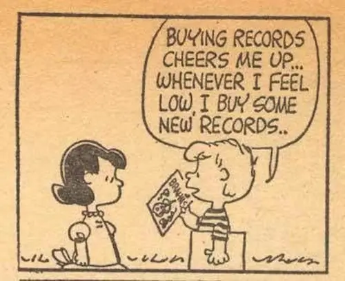 Peanuts - Vinyl - Shoping