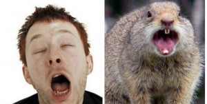 Radiohead-squirrels