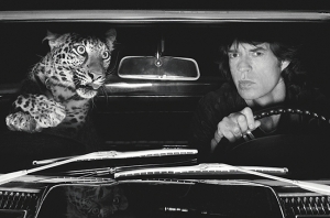 Rolling Stones  - Mick and cat