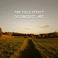 The Field Effect